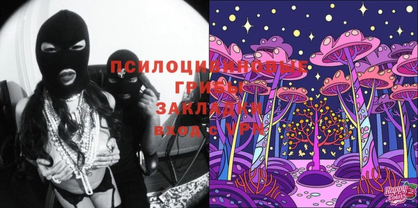 прущие крисы Гусь-Хрустальный