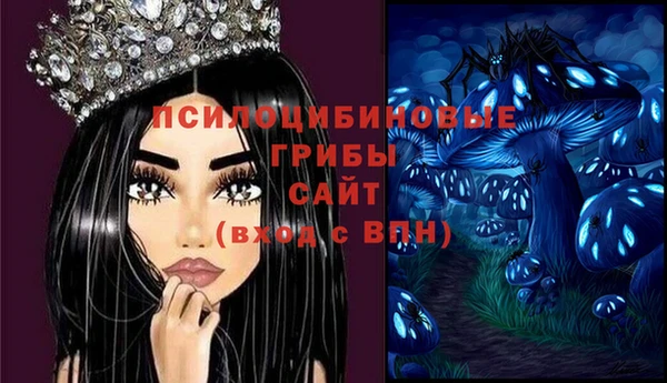 метадон Гусев