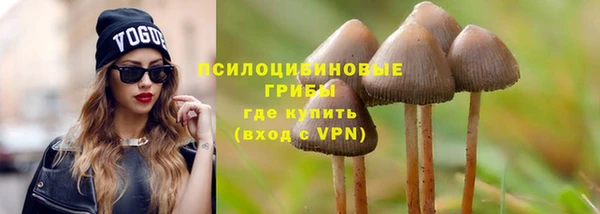 прущие крисы Гусь-Хрустальный