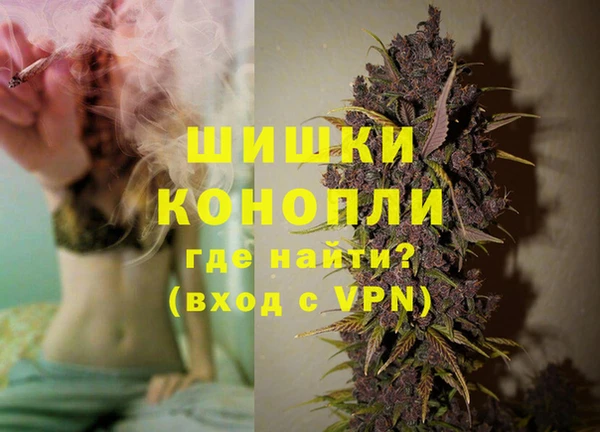 метадон Гусев