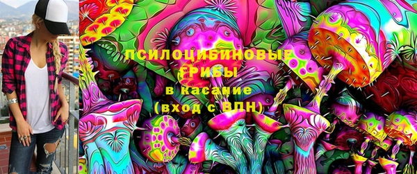 винт Гусиноозёрск