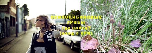 метадон Гусев