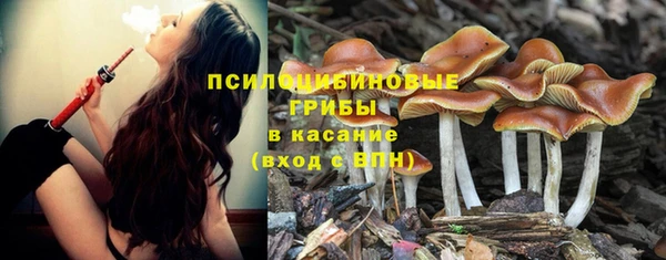 метадон Гусев
