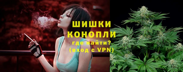 прущие крисы Гусь-Хрустальный