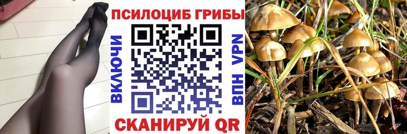 Галлюциногенные грибы GOLDEN TEACHER Нефтекамск